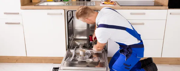 AEG Dishwasher Repair